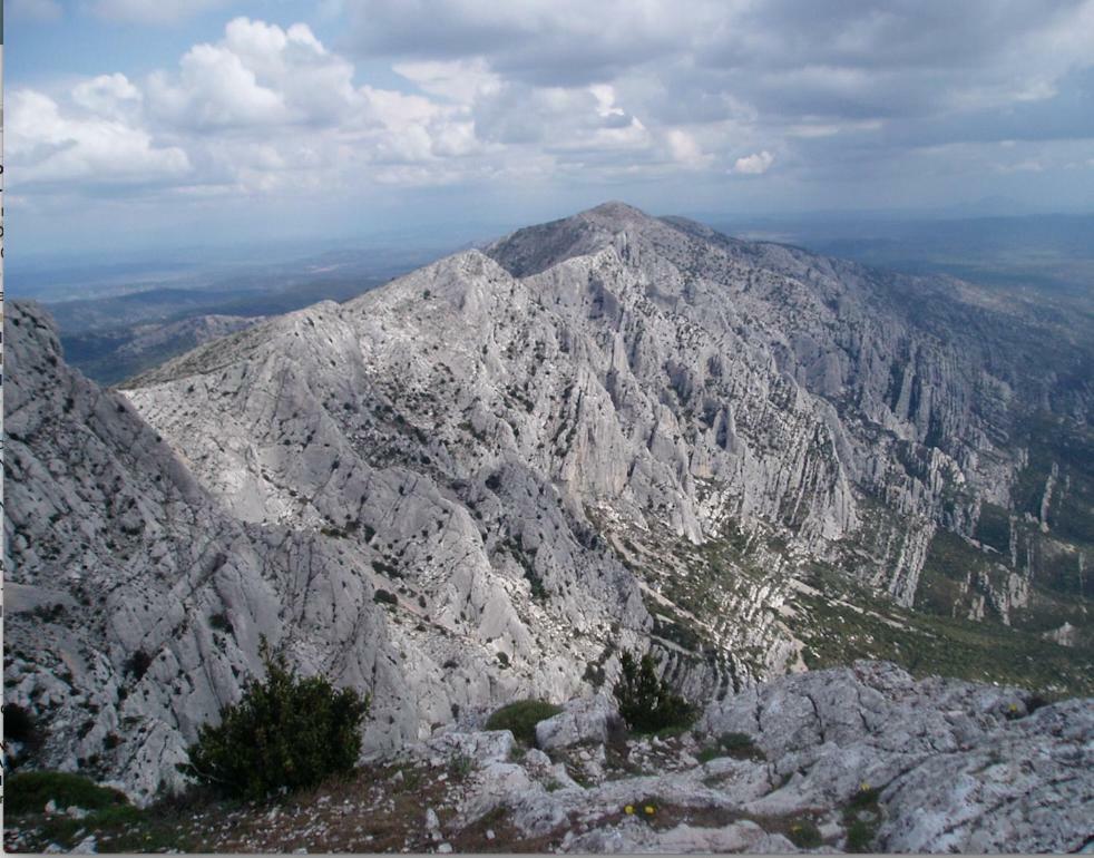 Sainte Victoire Le Cabanon Villa Puyloubier Dış mekan fotoğraf